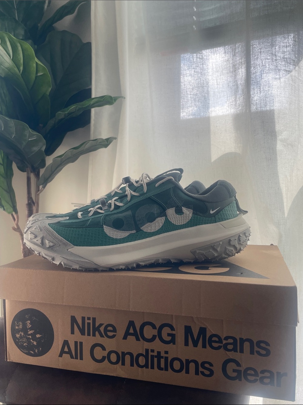 Nike ACG Mountain Fly 2 Low